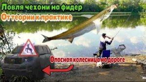 Ловля чехони на фидер