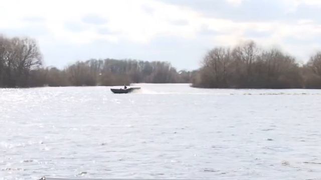 02 05 17 ТК Триада Рыба смотреть онлайн