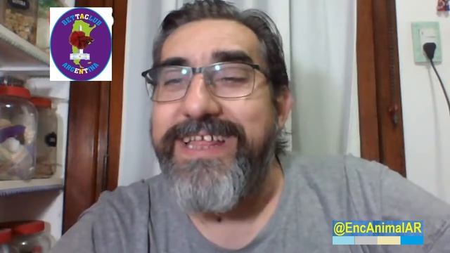 Visitando Acuarios – Mateando con los Bettas - 12.2 смотреть онлайн
