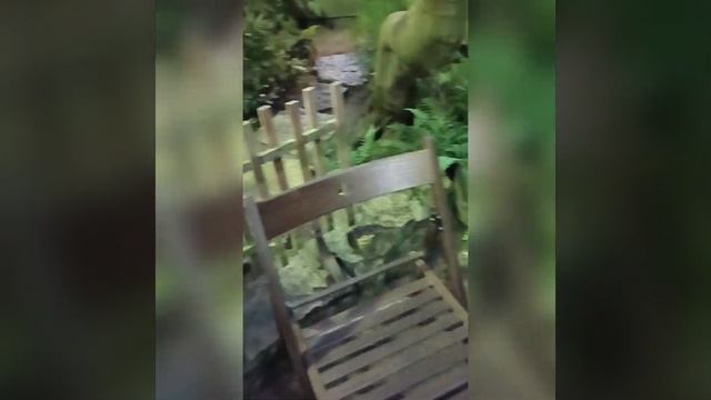 Ботанический сад. Санкт-петербург. смотреть онлайн