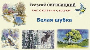 «Белая шубка» Георгий Скребицкий. Слушать