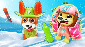 Щенячий патруль на снежной горе спасает Либерти!