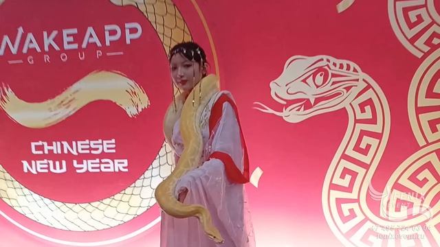 Заказать китайских артистов на встречу гостей в Москве - китайская принцесса со змеей на велком смотреть онлайн