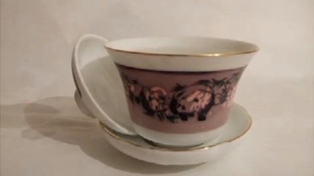 Wild Panda - chameleon gayvan смотреть онлайн