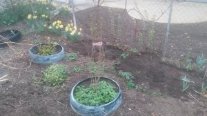 Сад и огород 1 сезон 1 серия