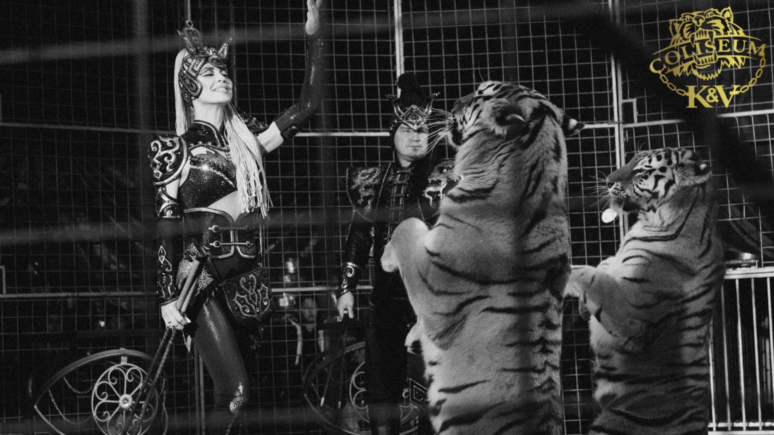 CIRCUS COLISEUM 2025