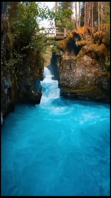 New Ringtone WhatsApp Status Nature Instagram Reels