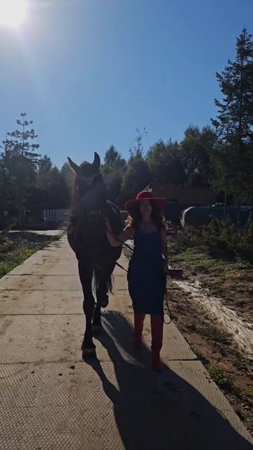 Она — как музыка, которую хочется слушать снова и снова смотреть онлайн