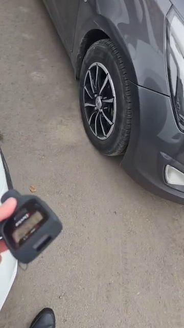 1000176541.mp4 смотреть онлайн