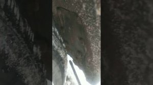 Люк птф на Гранте