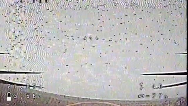 Сегодня в 9 утра дрон 417 ОРБ поразил позицию хохлов смотреть онлайн