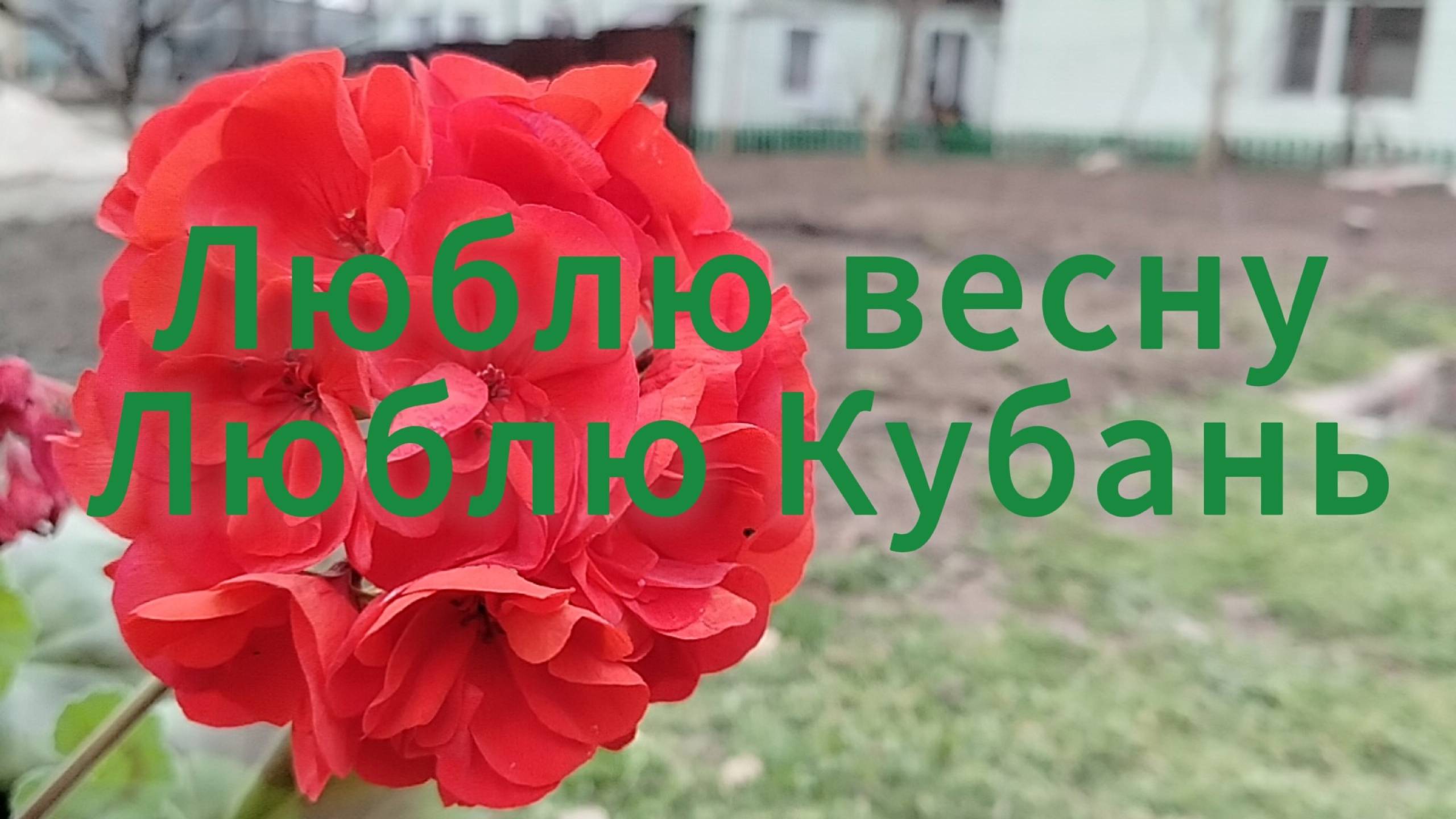Не скучный день.Фитнес зал. смотреть онлайн
