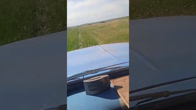 Один день делянки. #делянка #день смотреть онлайн