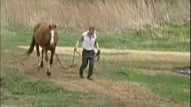 Бриз вырвался на свободу