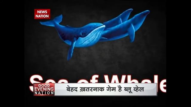 Alarm: Blue Whale Challenge is a 'National Problem': Supreme Court смотреть онлайн