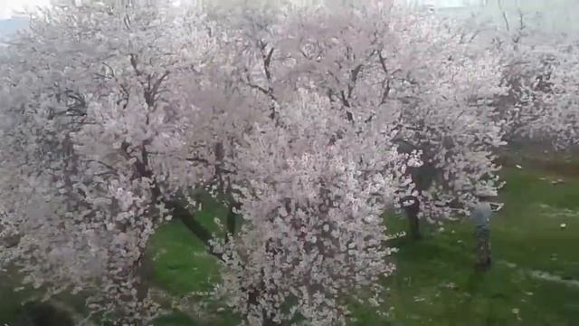 Ноокат химия смотреть онлайн