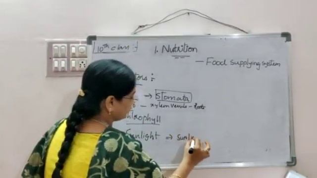 NUTRITION // 10TH CLASS BIOLOGY CLASS - 1 смотреть онлайн