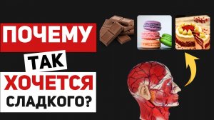 Почему меня всё время тянет к сладкому? Что означает тяга к сладкому и способы ее преодоления