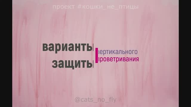 Способы защиты кошек от вертикального проветривания