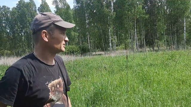 Роеловство 2021. Проверяю основную часть ловушек смотреть онлайн