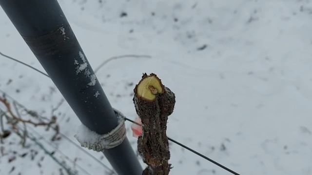Видалив Рукава та Доробка Сектора ! смотреть онлайн