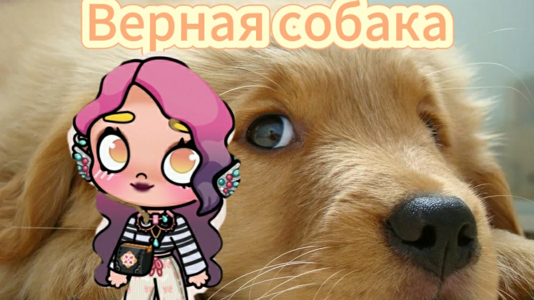 Верная собака. 2 серия. смотреть онлайн