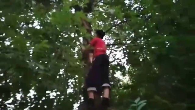 Залезаем на высокие-опасные места смотреть онлайн