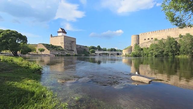 Нарва и Ивангород разделённые рекой Наровой Россия и Эстония #narva смотреть онлайн