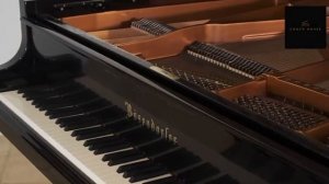 Bosendorfer 214VC Gustav Klimt