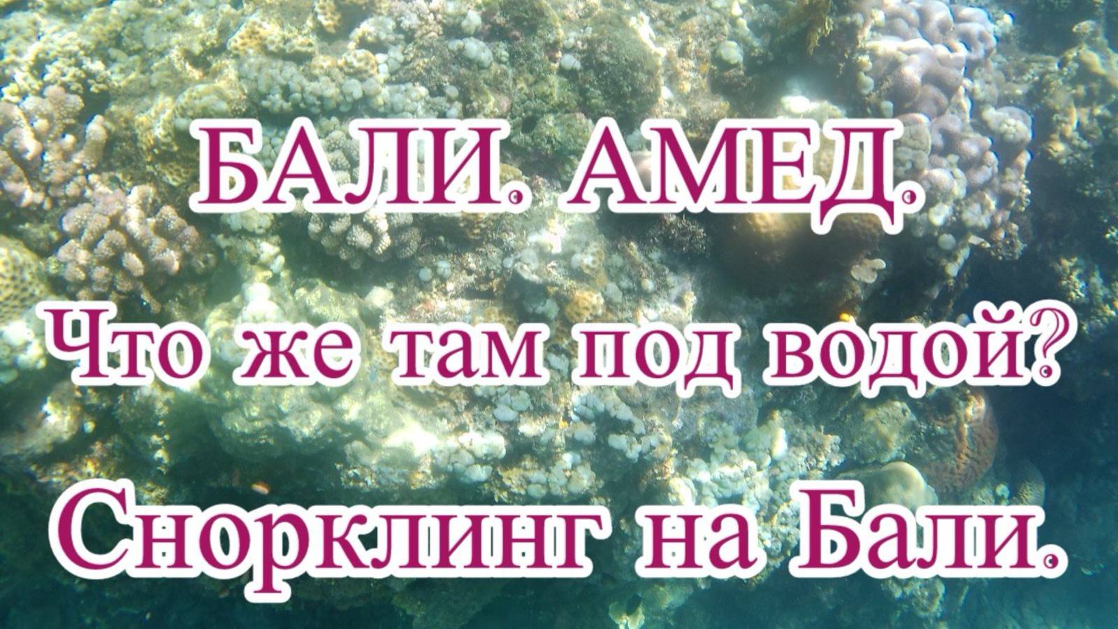 Экскурсия на Бали. Амед. Коралловый сад, затонувший японский корабль, Тартл поинт, бухта Джемеллук смотреть онлайн