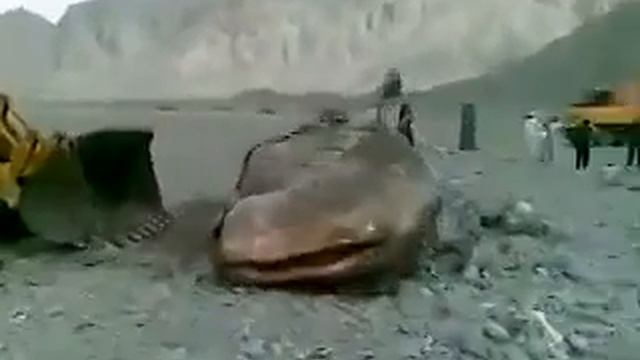 мохи калон смотреть онлайн