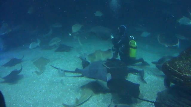 M4H05435 смотреть онлайн