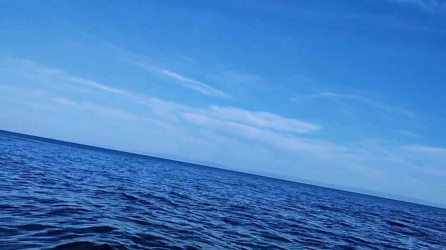 крупный хариус на нахлыст 🤫 смотреть онлайн