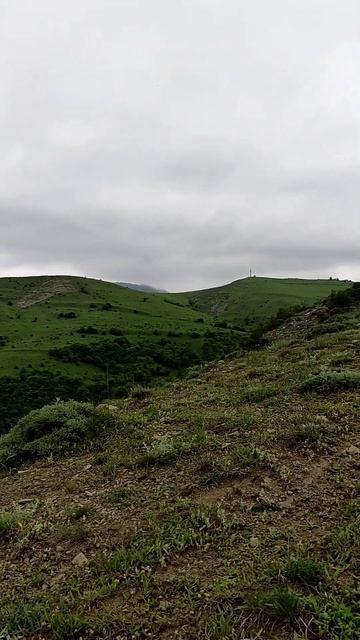 ДАГЕСТАН.КУРАХСКИЙ РАЙОН.СЕЛО КlИРИ.ТРАВЯНОЙ ЧАЙ💪🔥 #travel #туризм #ахты #курах #хив #жизнь #nature смотреть онлайн
