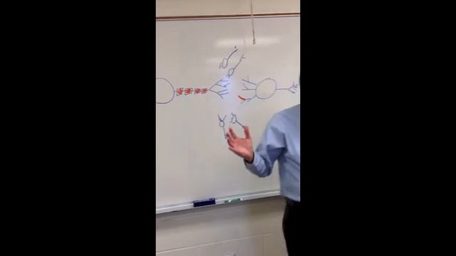 Developing Conceptual Framework Part 1 смотреть онлайн