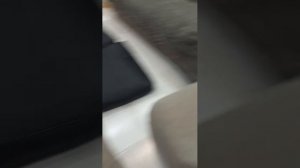 вторая часть как мы с вами и Ваней на пожаренного вампирах