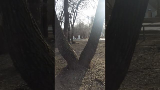20250327_083023 смотреть онлайн