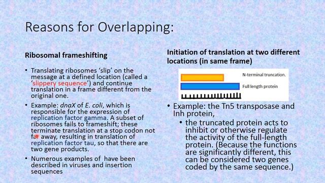 Overlapping genes By Dr Vibha Khanna смотреть онлайн