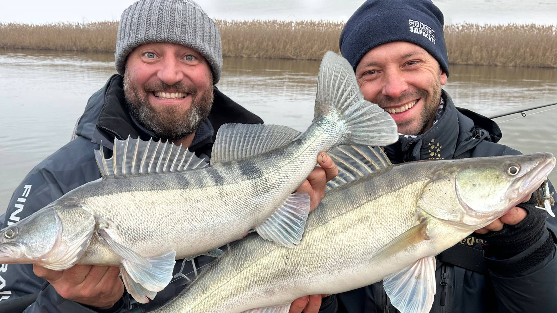 ПОПАЛИ НА ЖОР СУДАКА! Рыбаки поймут 👍 смотреть онлайн