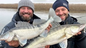 ПОПАЛИ НА ЖОР СУДАКА! Рыбаки поймут 👍