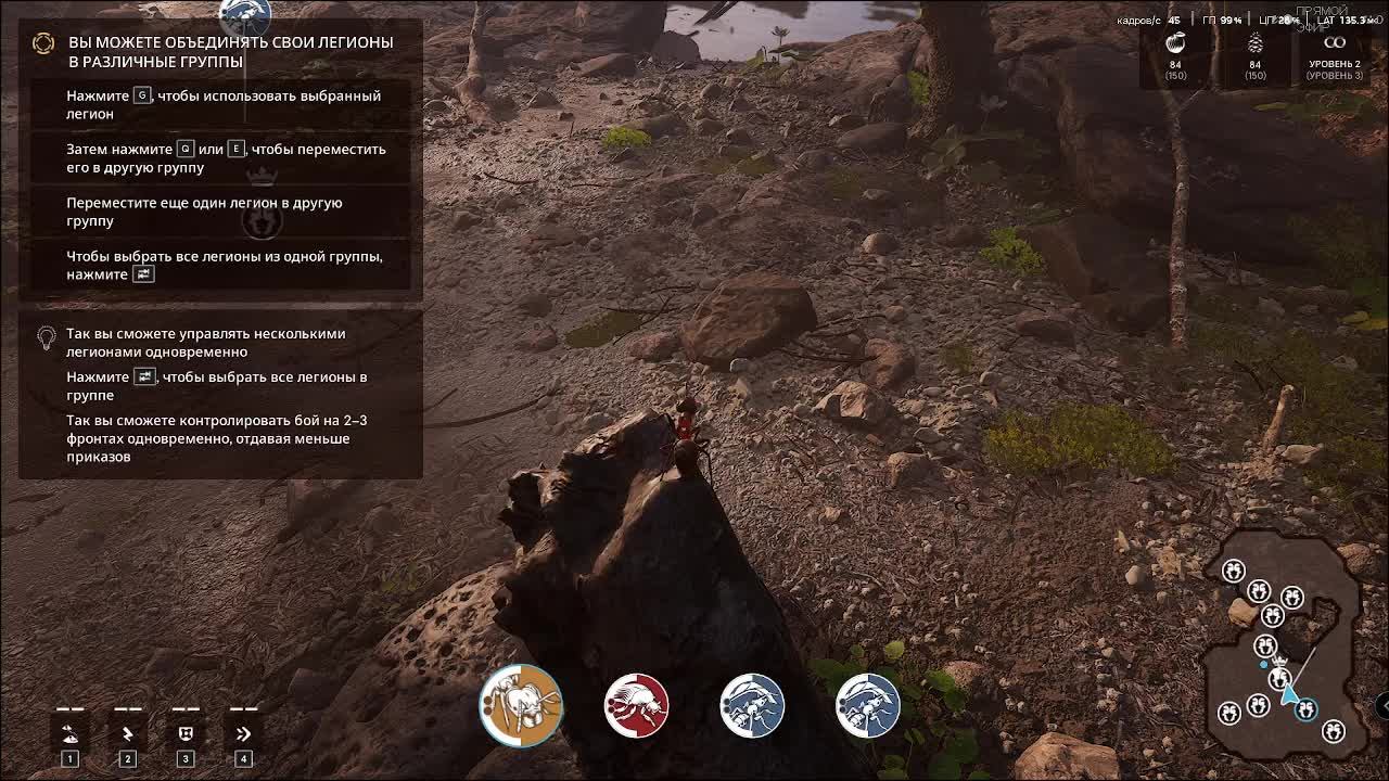 Муравьи смотреть онлайн