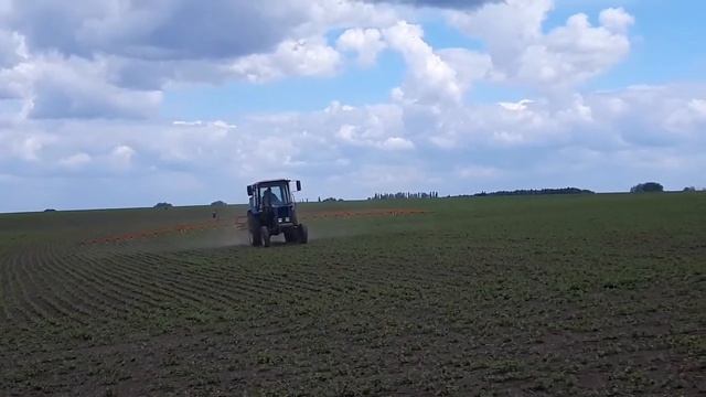 Гліфосатна обробка сої. 05.06.2021 смотреть онлайн