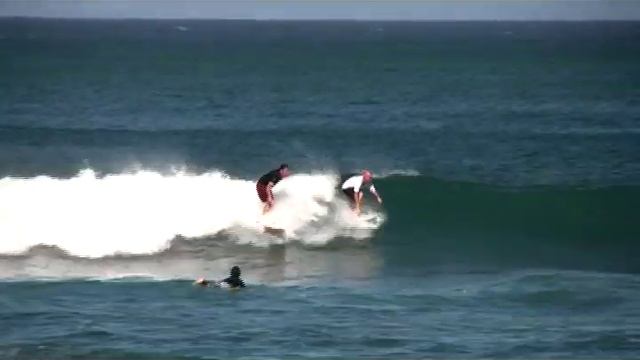 Surfing English Bulldog смотреть онлайн