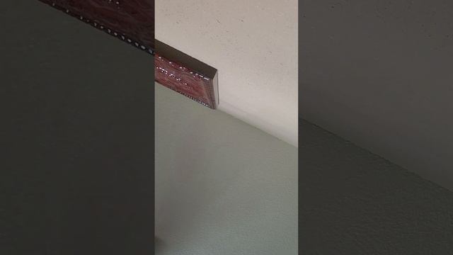 bee ijjjlij / pelican jjjjjjj / pink alga iiii / rain lizard nnnn / elk hhh / dragon r (s.m.)