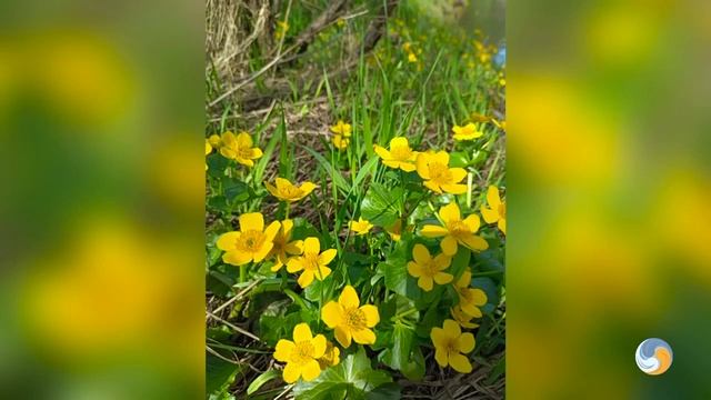 Где будет проходить поход Центра «Ресурс» в 2024 году смотреть онлайн