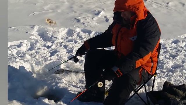 3 декабря 2017 г. смотреть онлайн