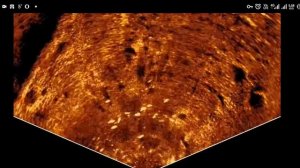 Active target 1 scout 25.1