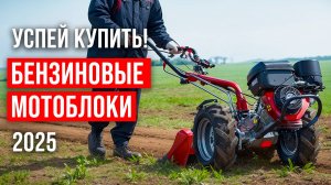 Лучшие мотоблоки мощностью 7 л.с. Рейтинг недорогих мотоблоков для сада и огорода в 2025 году!
