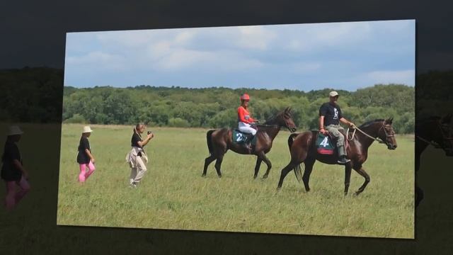 День скачек. ФОТО МОМЕНТЫ.Камень - Рыболов.