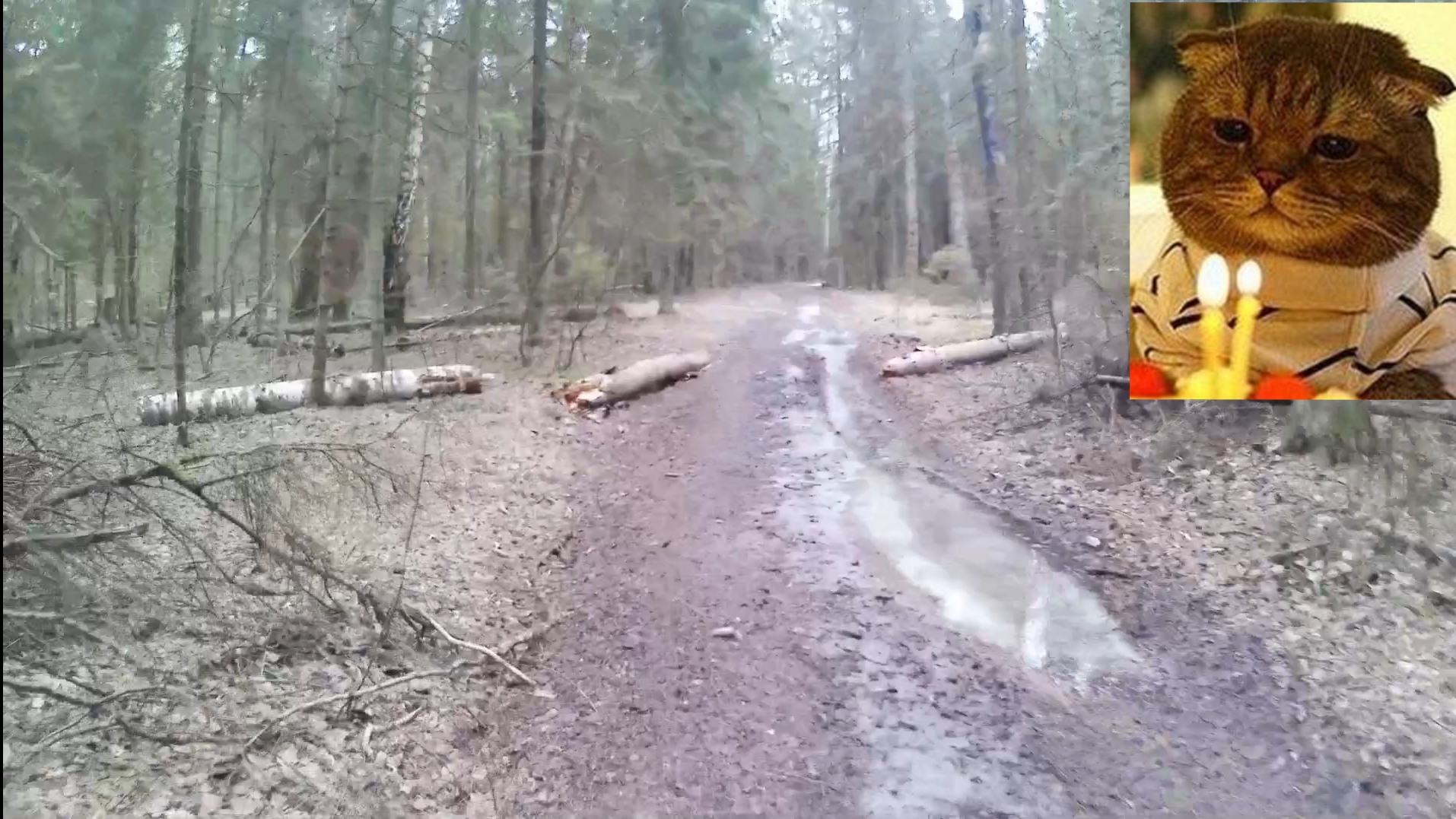 сдень рождением канала. статистика планы итоги. отмечаем второй год. праздник радость и веселье -OFF смотреть онлайн